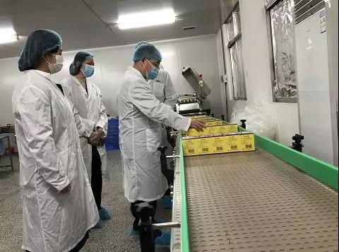 同心抗疫，确保质量！gopay钱包公司振隆厂外车间接受广药集团生产监视包管小组事情督导