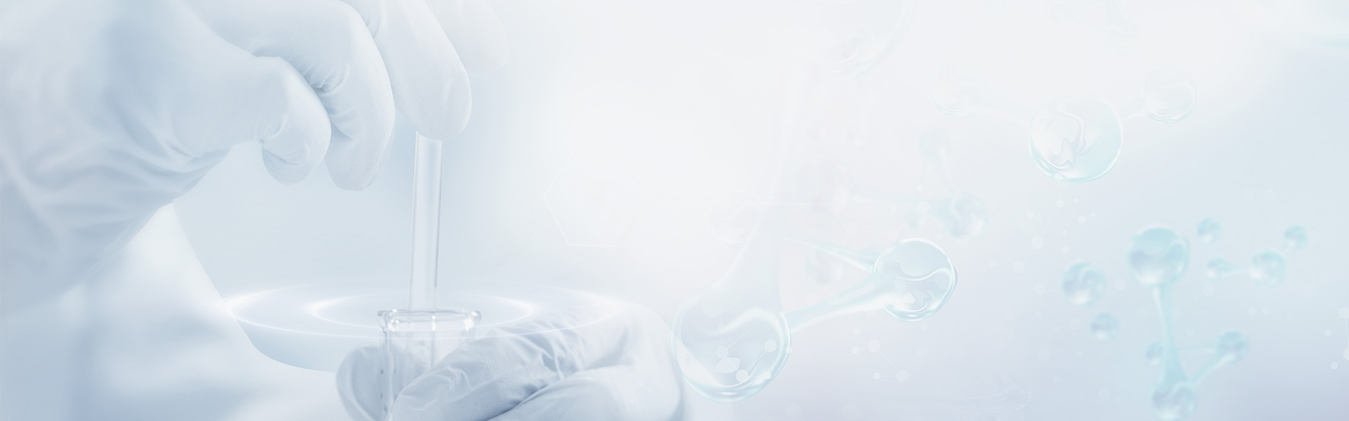 gopay钱包 -高效数字钱币支付工具