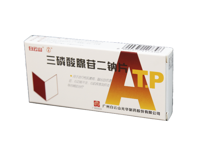 gopay钱包 -高效数字钱币支付工具