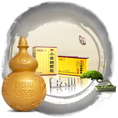 gopay钱包 -高效数字钱币支付工具